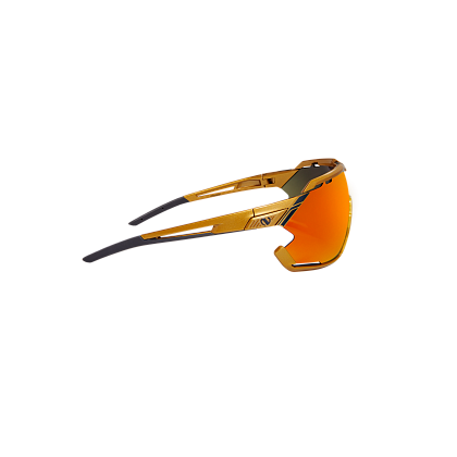 Очки Northug GOLD POLARIZED GOLD Standard