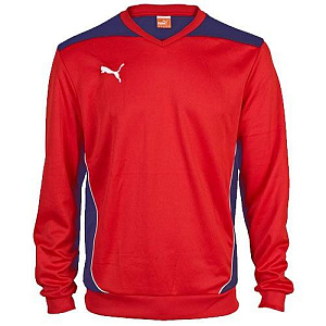 Толстовка Puma эластик Foundation Training Sweat, red