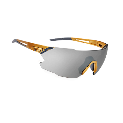 Очки Northug GOLD POLARIZED GOLD Standard