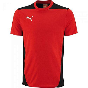 Футболка Puma Foundation Tee, red