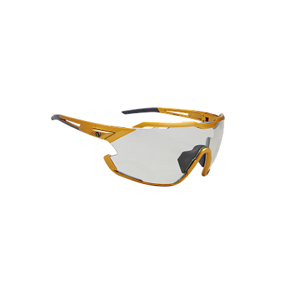 Очки Northug GOLD POLARIZED GOLD Standard