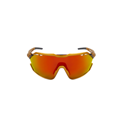 Очки Northug GOLD POLARIZED GOLD Narrow